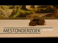 Excellent Horse Herbs Vlozaad 1,2 kg