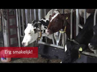 Excellent Diton 10 kg