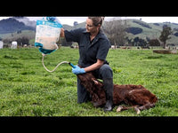 Antahi Trusti Tuber Colostrum Bag Set 10 x 4 L