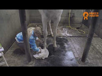 Paardenpraat TV Hoefglansolie