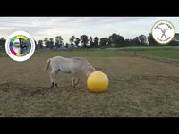 Maximus Power Play Ball 75 cm