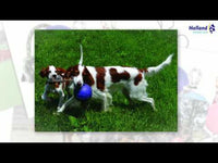 Jolly Romp-n-Roll Rood L (20 cm)