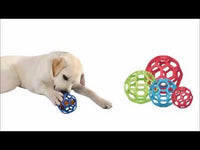 JW Hol-ee Roller assorti Jumbo - 19 cm