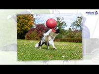 Jolly Tug-n-Toss Rood XL (25 cm)