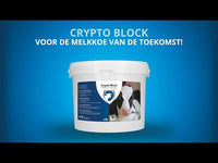 Excellent Crypto Block 4,8 kg