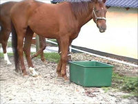 OK Plast Weidebak 200 l