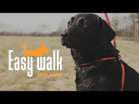 Easy Walk Handmodel Rood - Mini