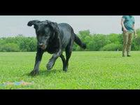 Chuckit! Whistle Flight