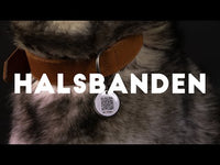 Spotted! Pro Leren Halsband Cognac 3 x 55 cm