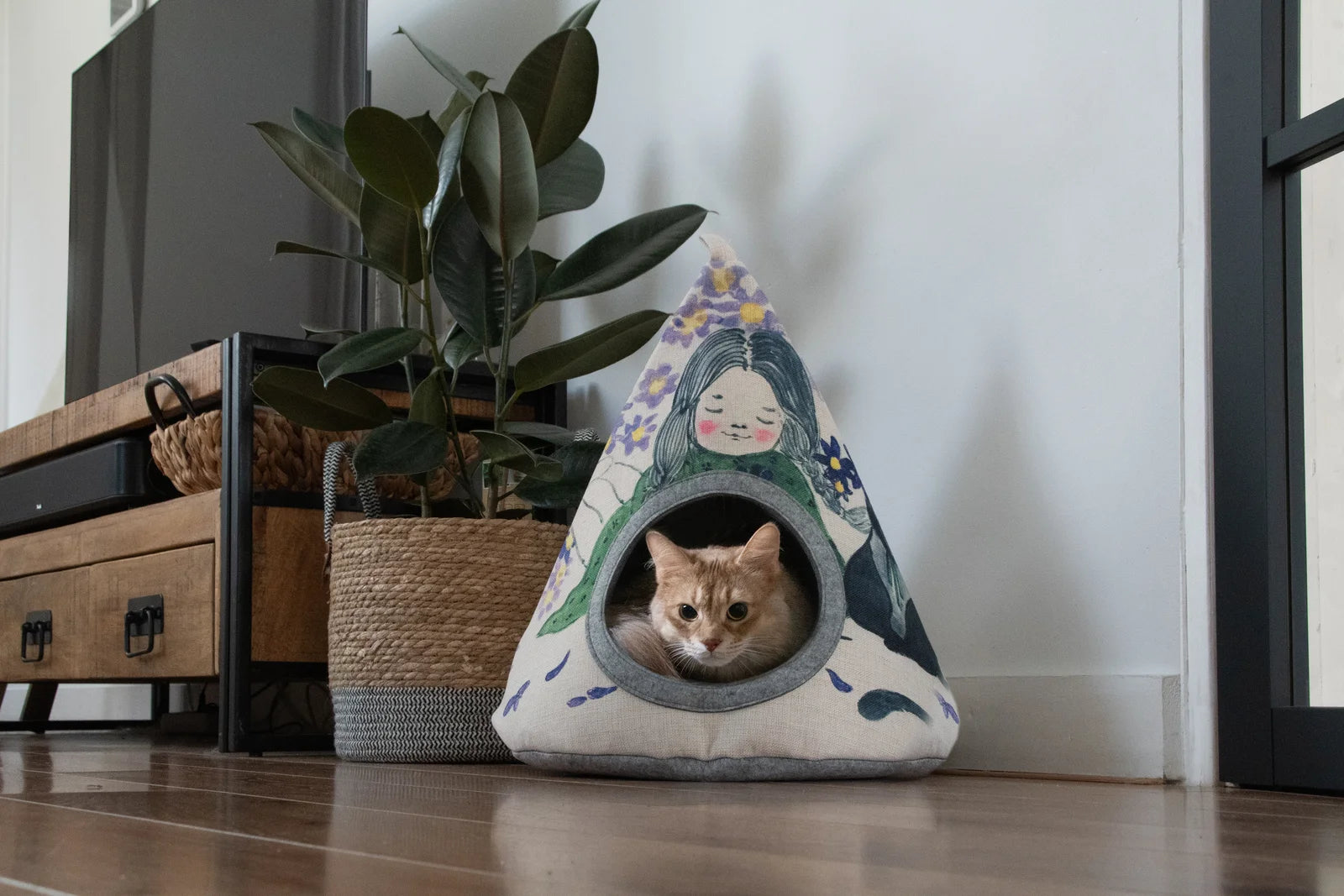 Kitten kijkt nieuwsgierig uit een kattenhuisje