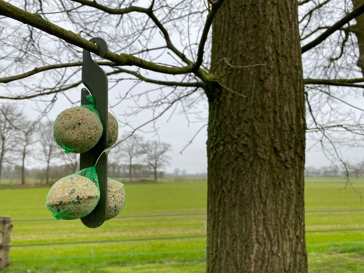 Vetbollen voor tuinvogels hangen in een boom